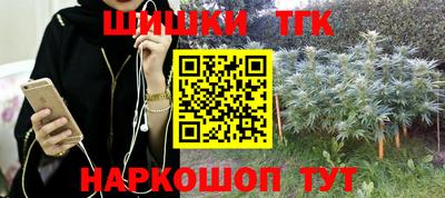 стафф Камышлов