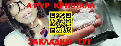 стафф Камышлов