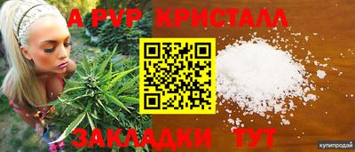 стафф Камышлов