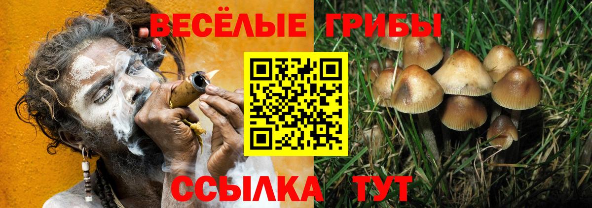 Галлюциногенные грибы Magic Shrooms  Вход с VPN  Лесной 
