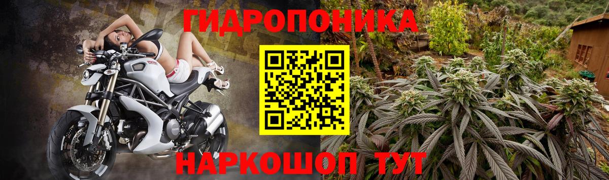 Конопля Ganja  Вход с VPN  Лесной  Шишки марихуана Amnesia  Шишки марихуана LSD WEED 